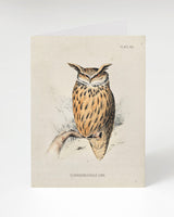 Eagle-Owl Bird Specimen Card