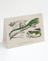 Lizard Greeting Card