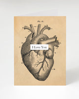 I Love You: Anatomical Heart Card