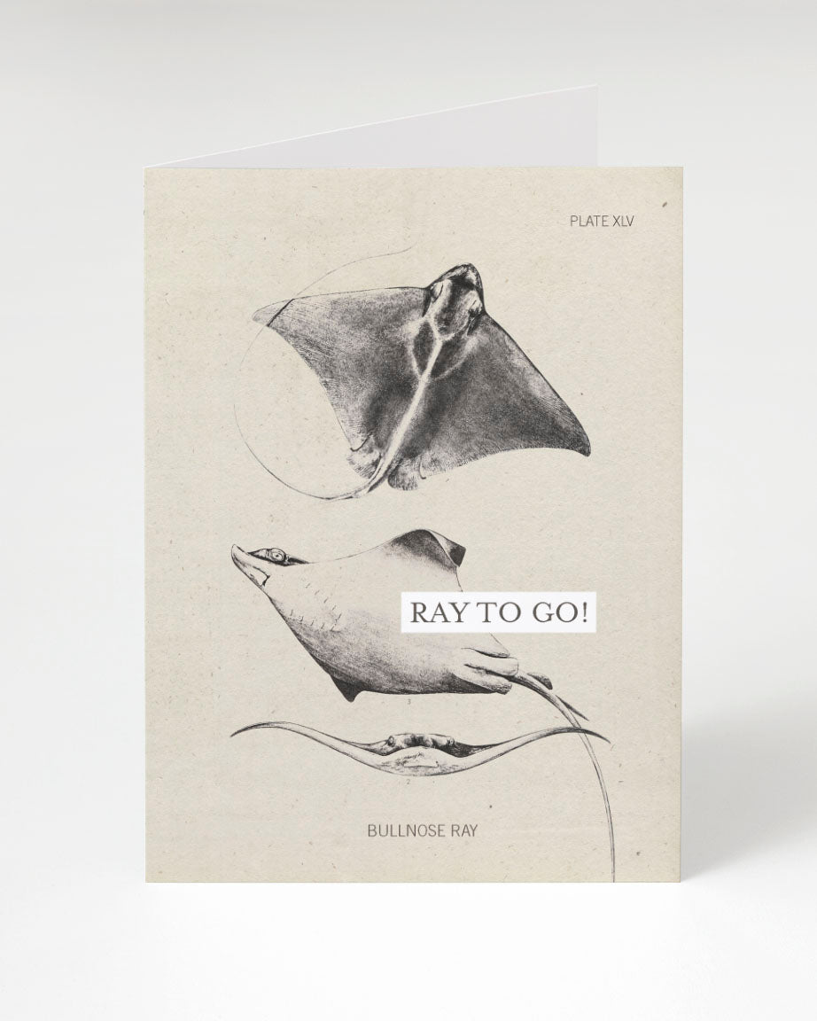 Cognitive Surplus Ray to Go! Card.