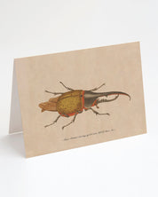 A Cognitive Surplus Hercules Beetle Greeting Card with an illustration of a beetle on it.