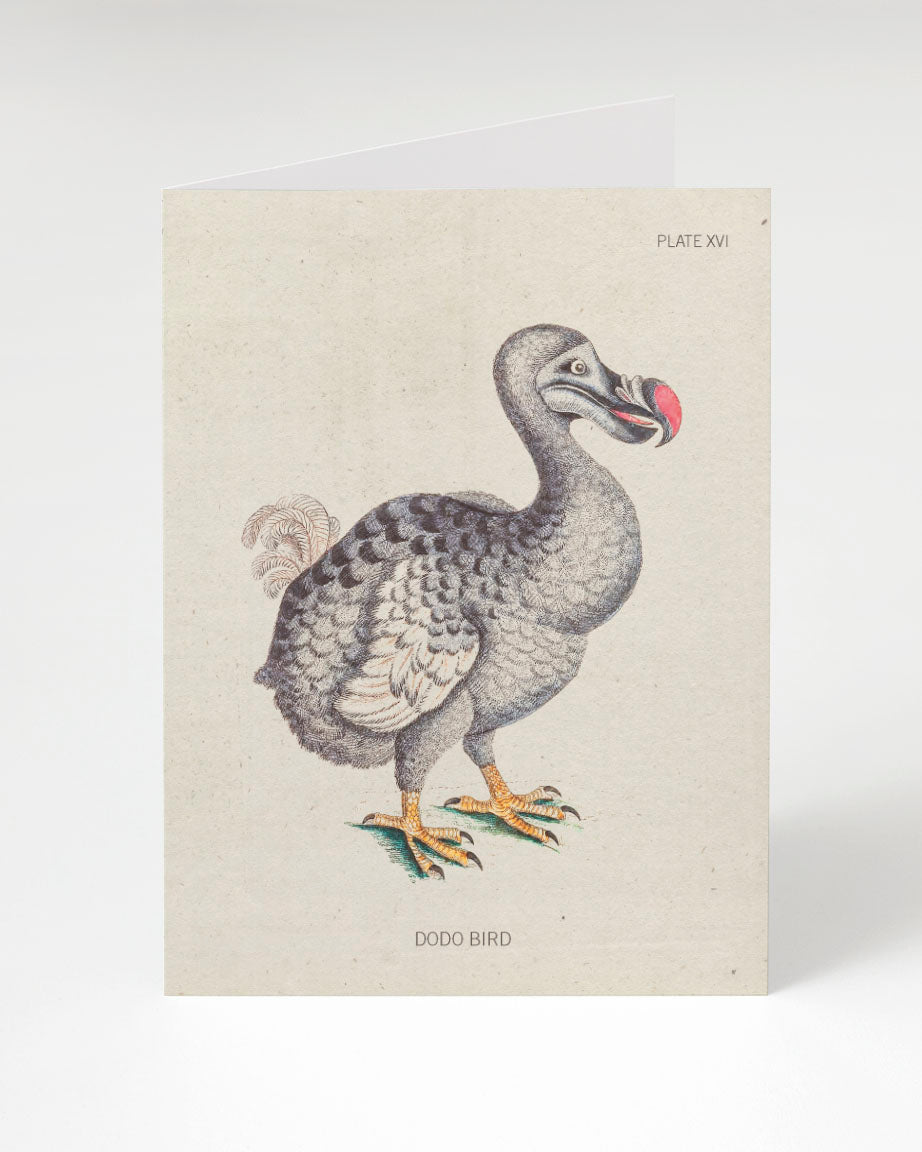 A Dodo Bird Greeting Card with an illustration of a swan by Cognitive Surplus.
