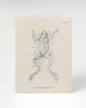 Anatomy of a Frog Dissection Card by Cognitive Surplus.
