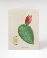 Prickly Pear Cactus Fruit Card