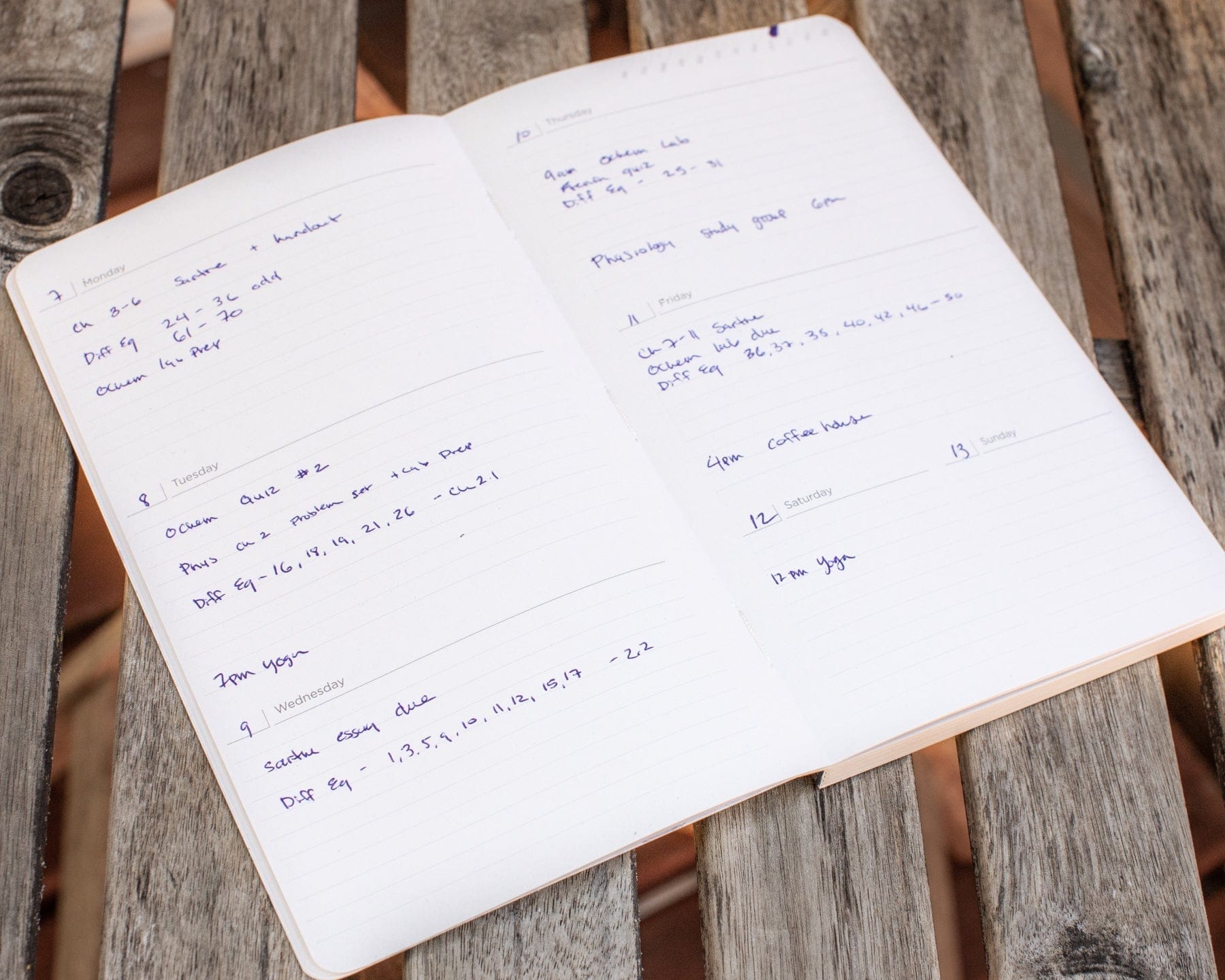 Gems & Minerals Yearly Planner Cognitive Surplus