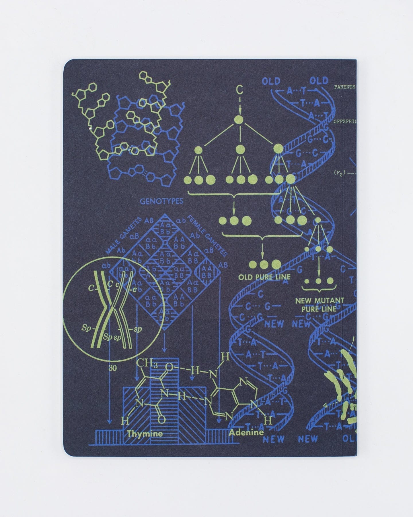 Genetics + DNA Softcover - Dot Grid Cognitive Surplus