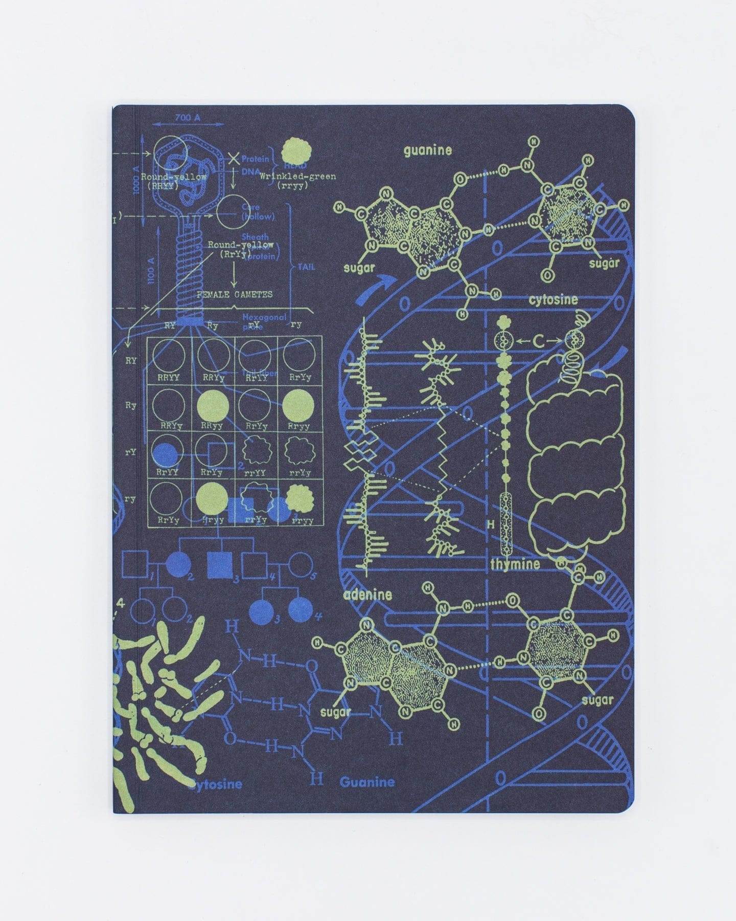 Genetics + DNA Softcover - Dot Grid Cognitive Surplus