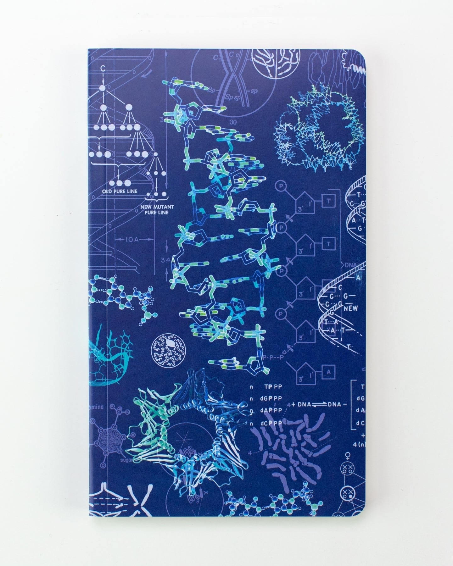 Genetics & DNA Yearly Planner Cognitive Surplus
