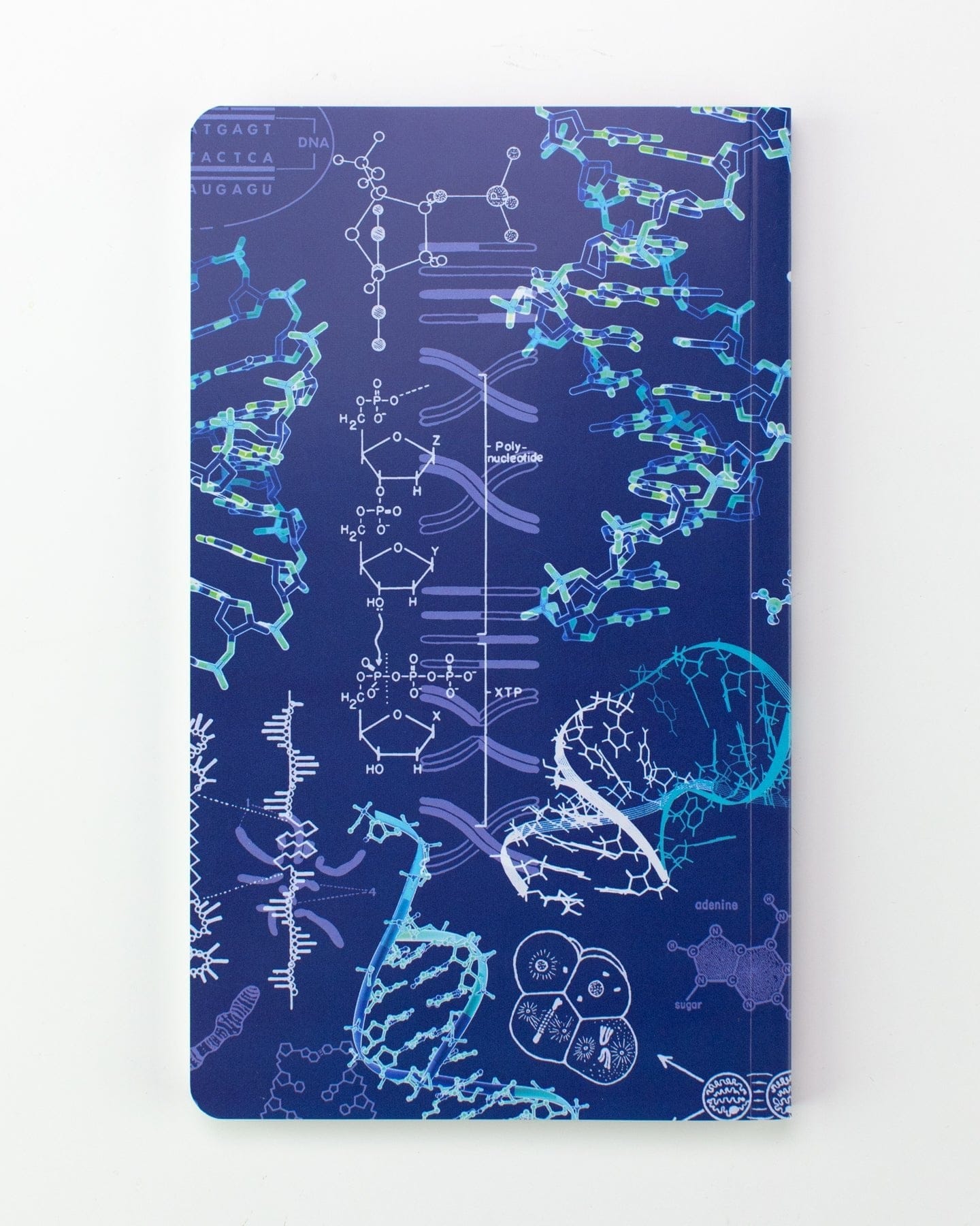 Genetics & DNA Yearly Planner Cognitive Surplus