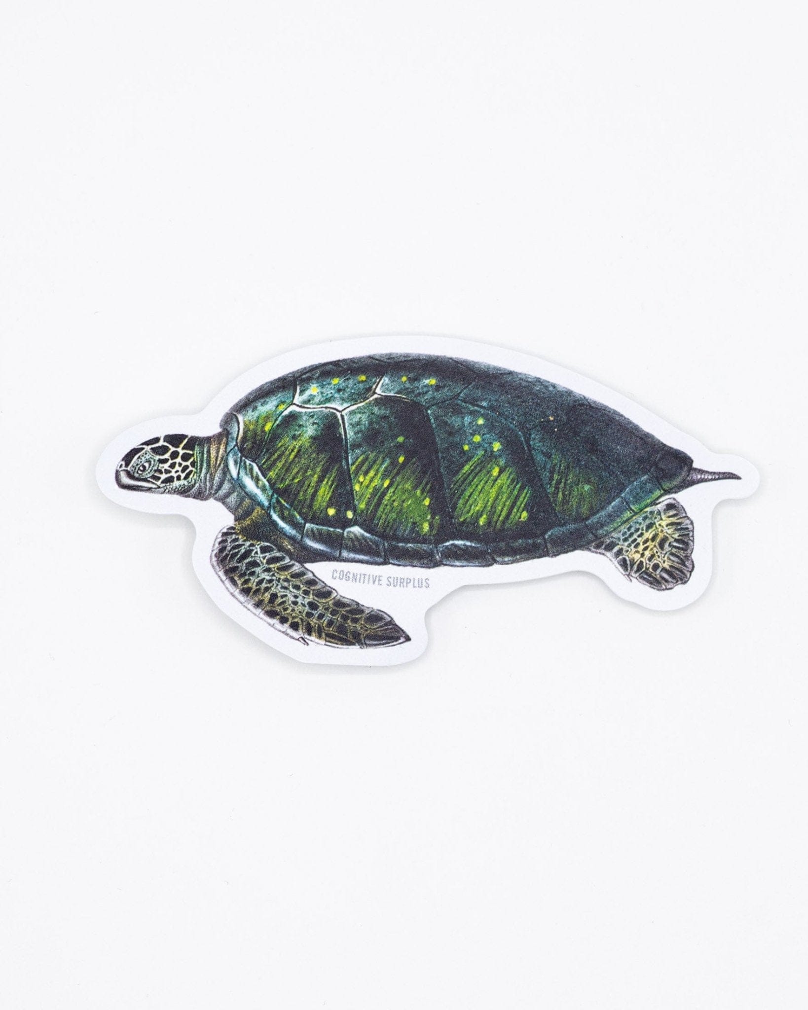 Green Sea Turtle Sticker Cognitive Surplus