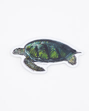 Green Sea Turtle Sticker Cognitive Surplus