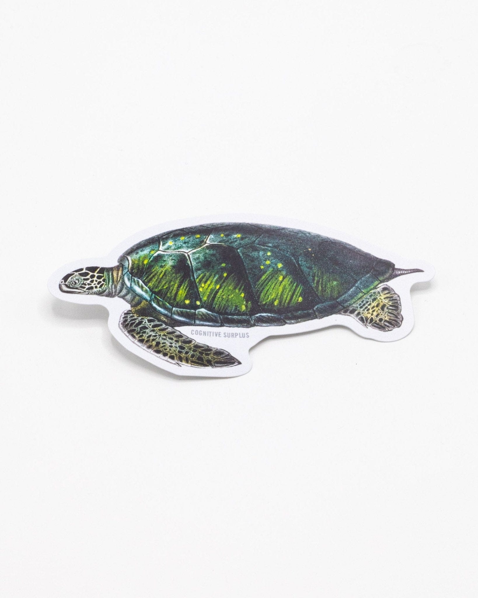 Green Sea Turtle Sticker Cognitive Surplus