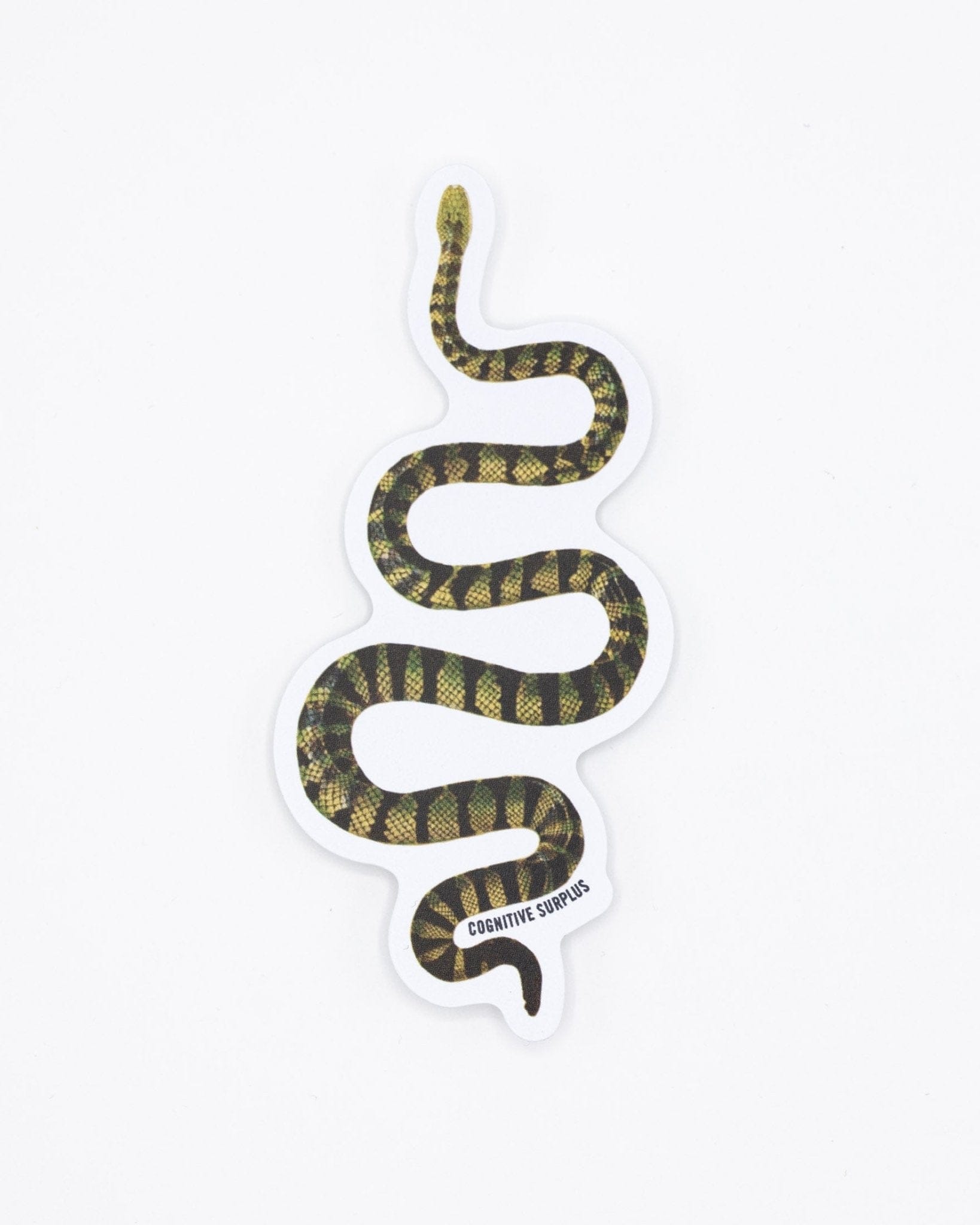 Green Snake Sticker Cognitive Surplus