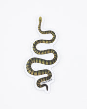 Green Snake Sticker Cognitive Surplus
