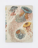 Haeckel Jellyfish Hardcover Notebook - Lined/Grid
