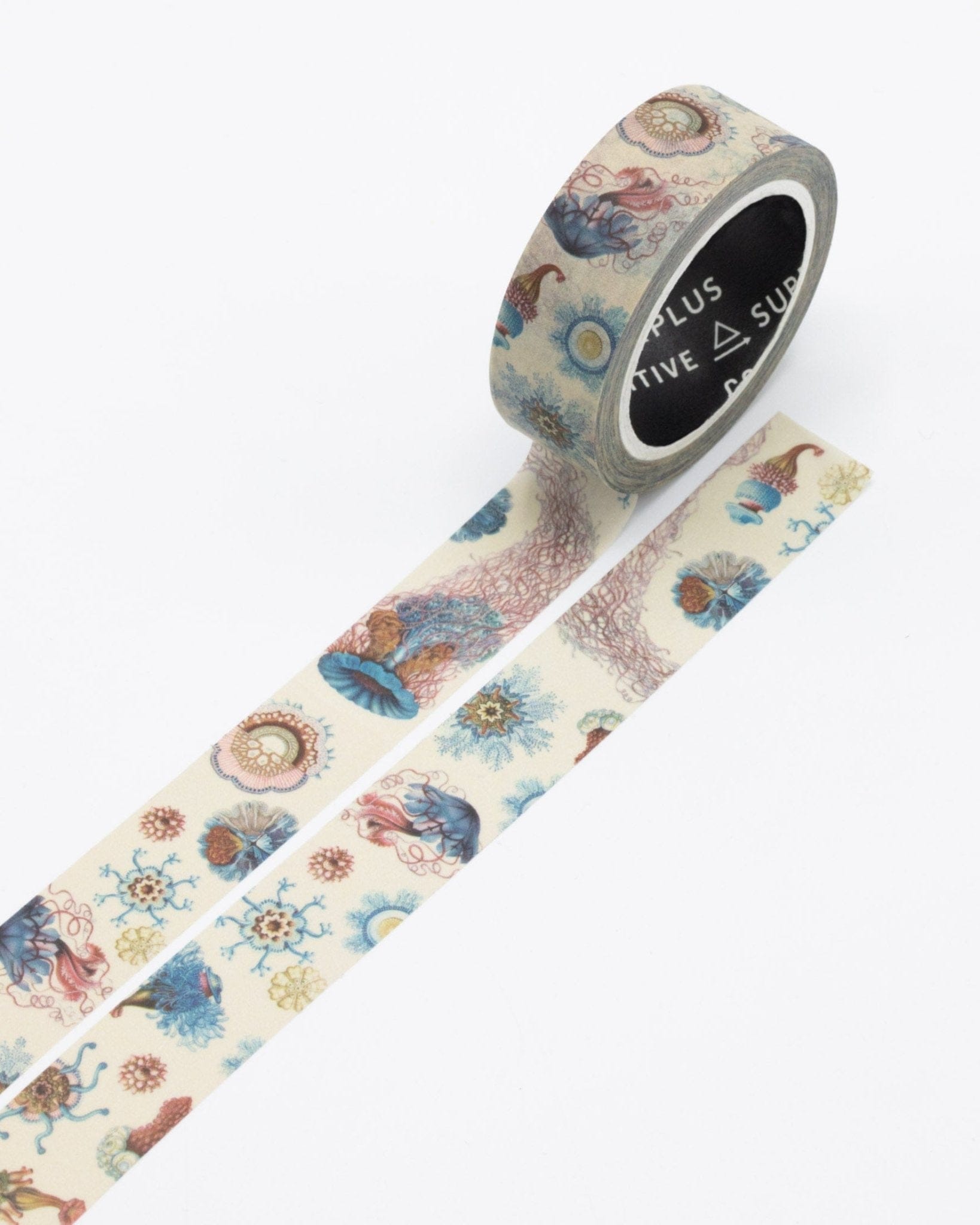 Haeckel Jellyfish Washi Tape Cognitive Surplus