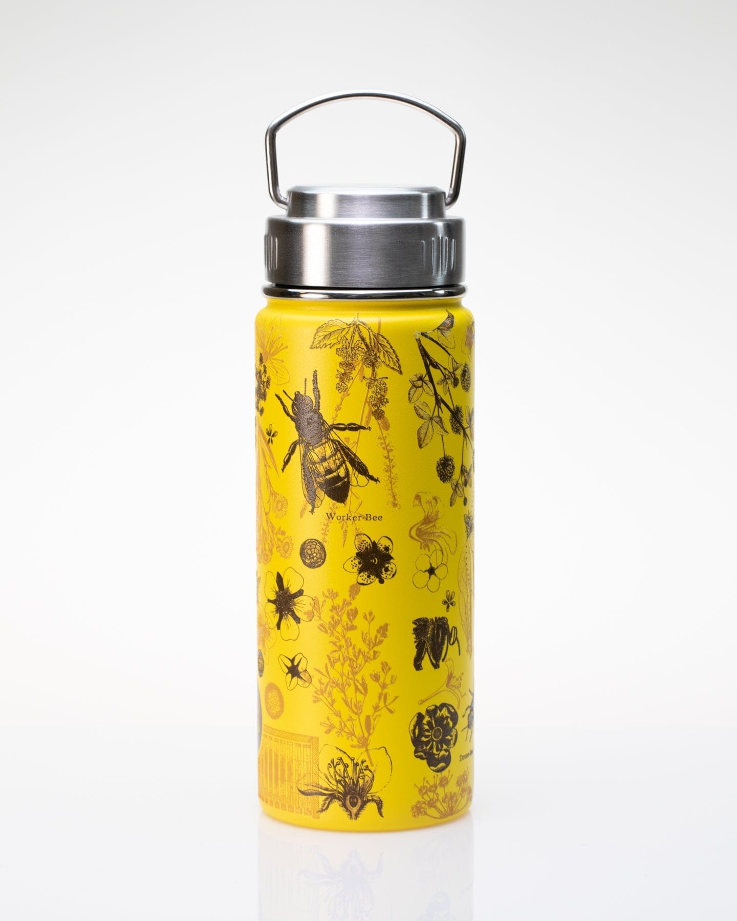 Honey Bee 18 oz Steel Bottle Cognitive Surplus