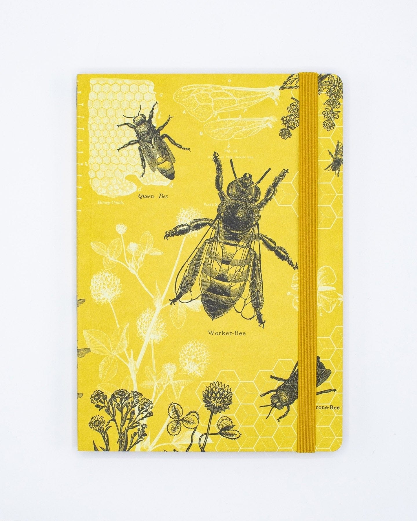 Honey Bee A5 Softcover Cognitive Surplus