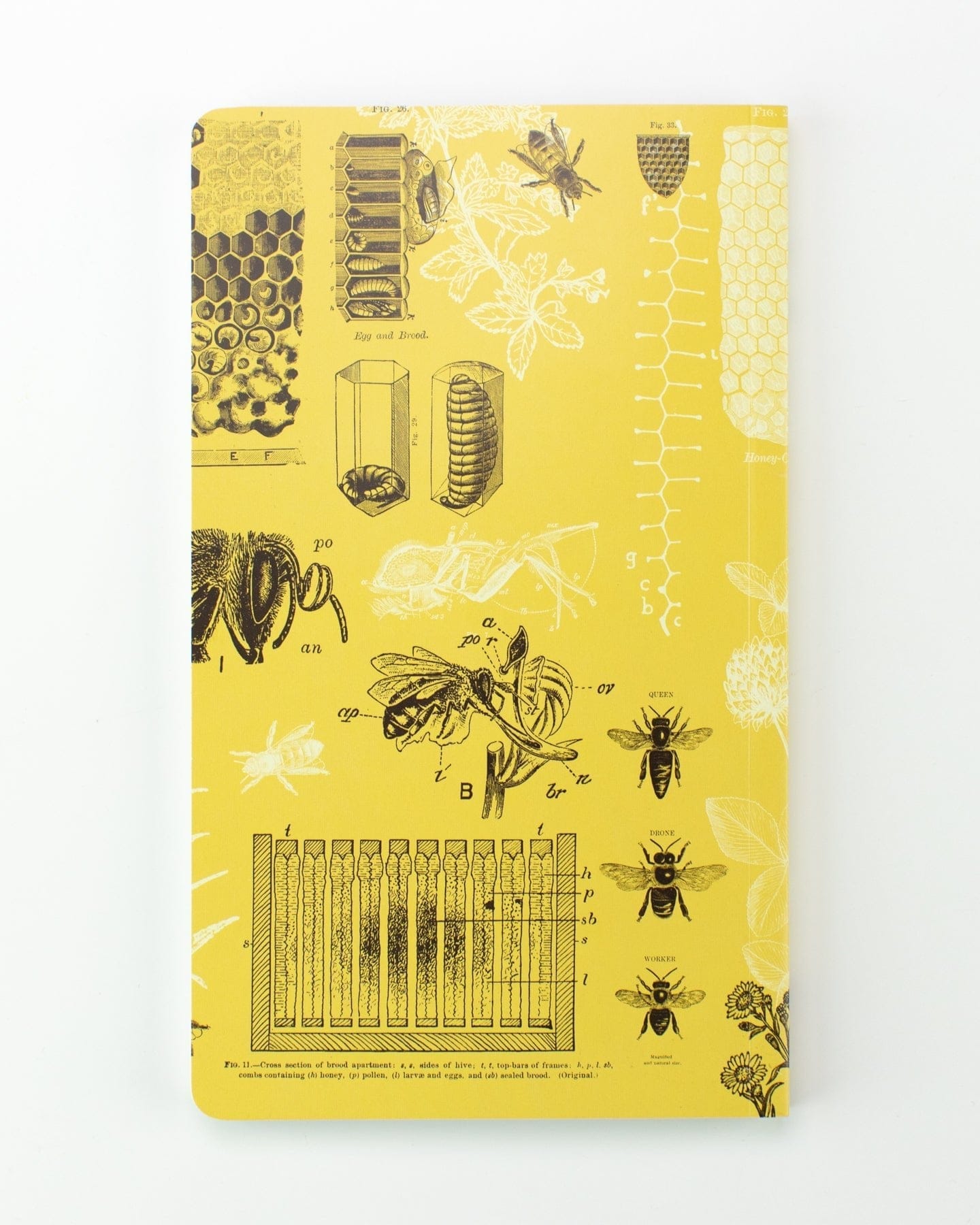Honey Bee Yearly Planner Cognitive Surplus