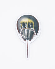 Horseshoe Crab Sticker Cognitive Surplus
