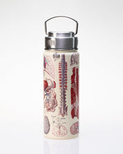 Human Anatomy 18 oz Steel Bottle Cognitive Surplus