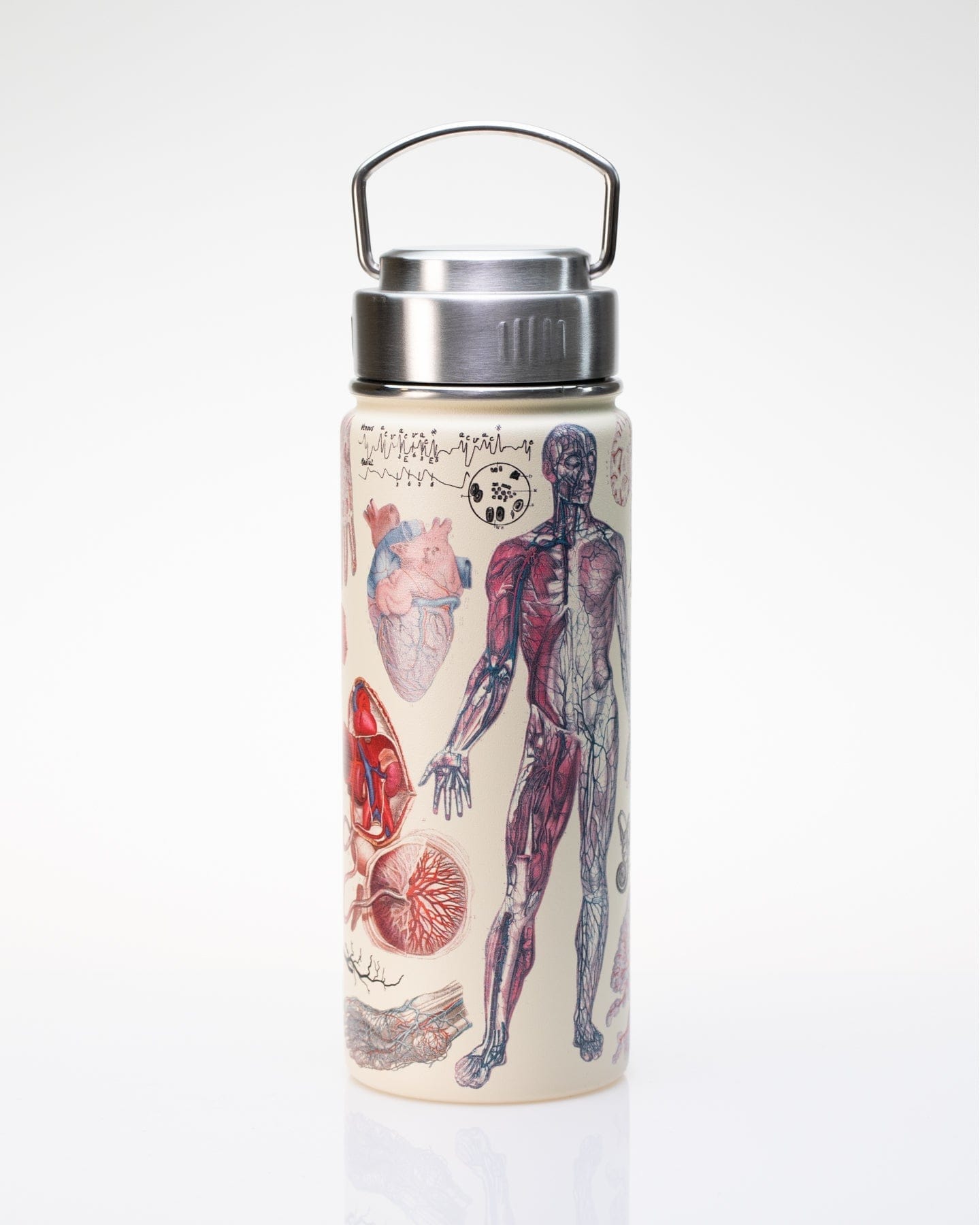 Human Anatomy 18 oz Steel Bottle Cognitive Surplus