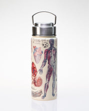 Human Anatomy 18 oz Steel Bottle Cognitive Surplus