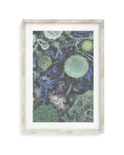 Infectious Disease Museum Print Cognitive Surplus