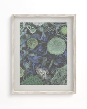 Infectious Disease Museum Print Cognitive Surplus