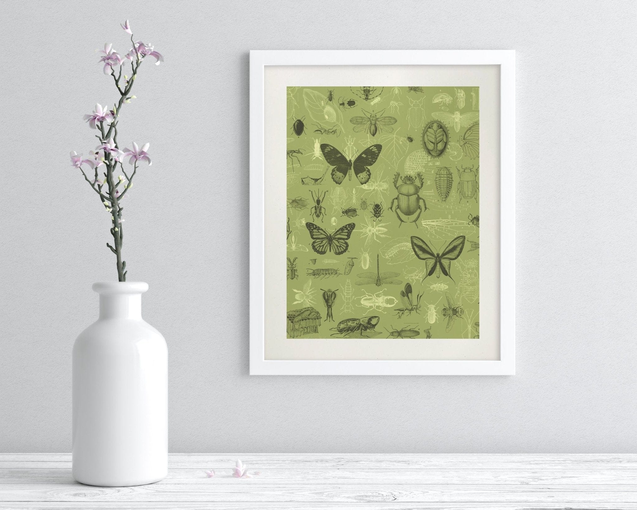 Insect Museum Print Cognitive Surplus