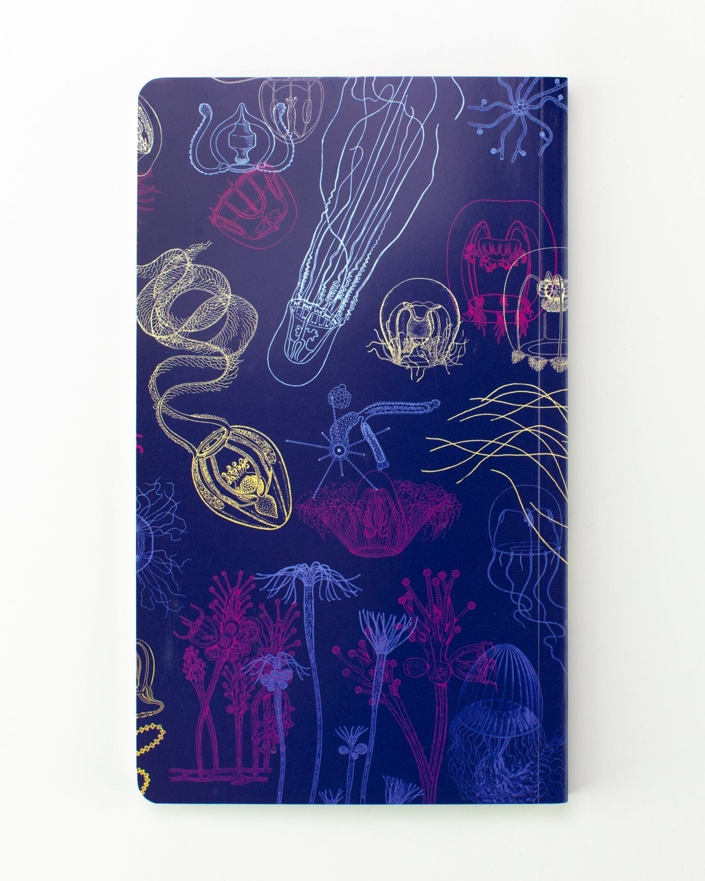 Jellyfish Yearly Planner Cognitive Surplus