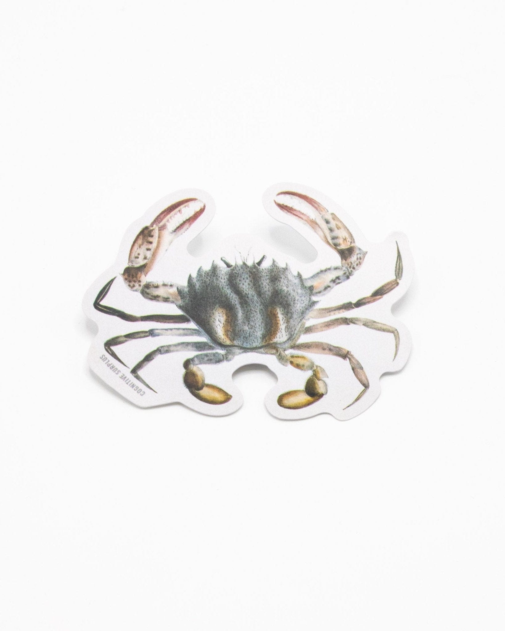 Lady Crab Sticker Cognitive Surplus