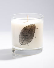 Leaf Diagram Cocktail Candle Cognitive Surplus