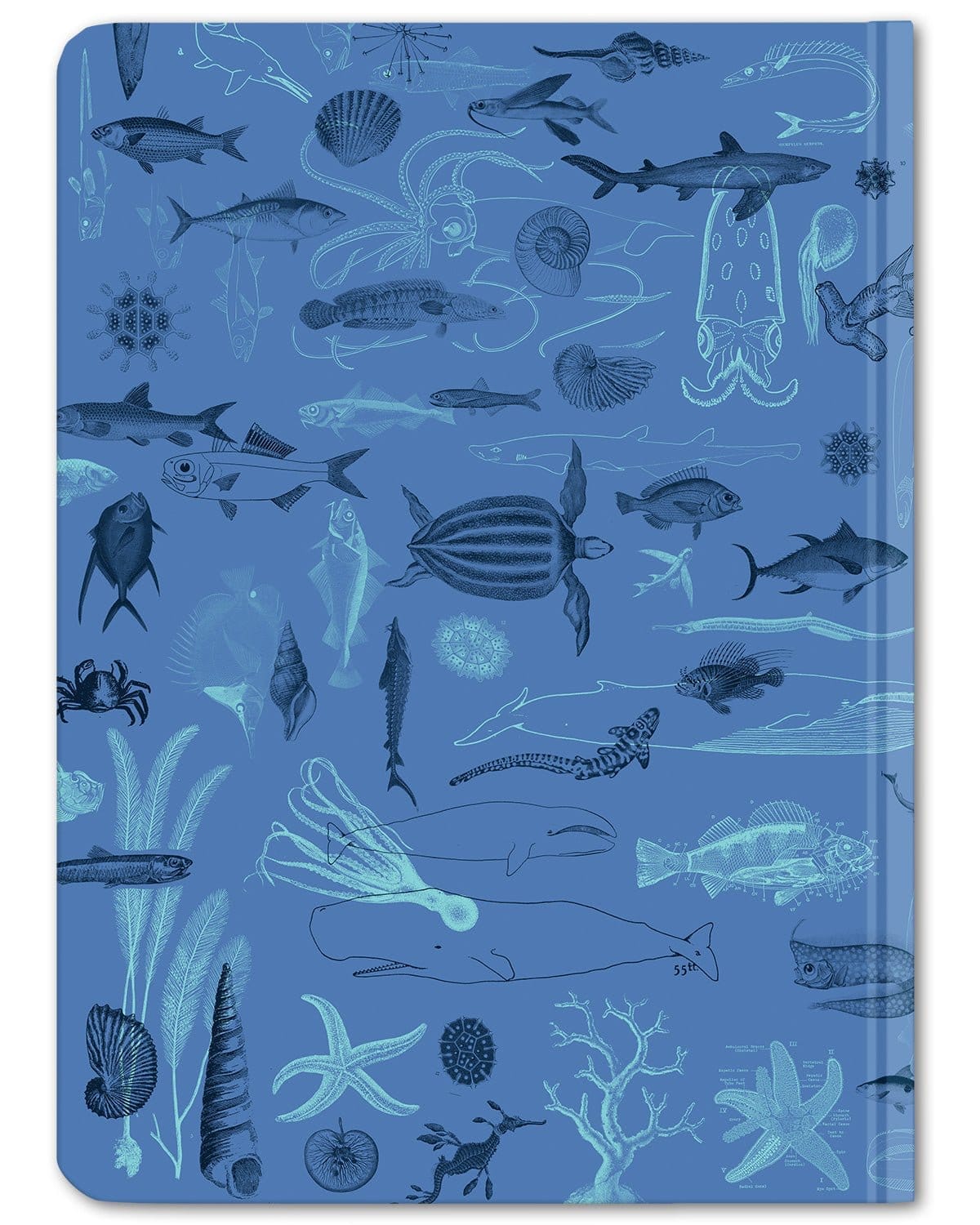 Marine Biology Hardcover - Dot Grid Cognitive Surplus