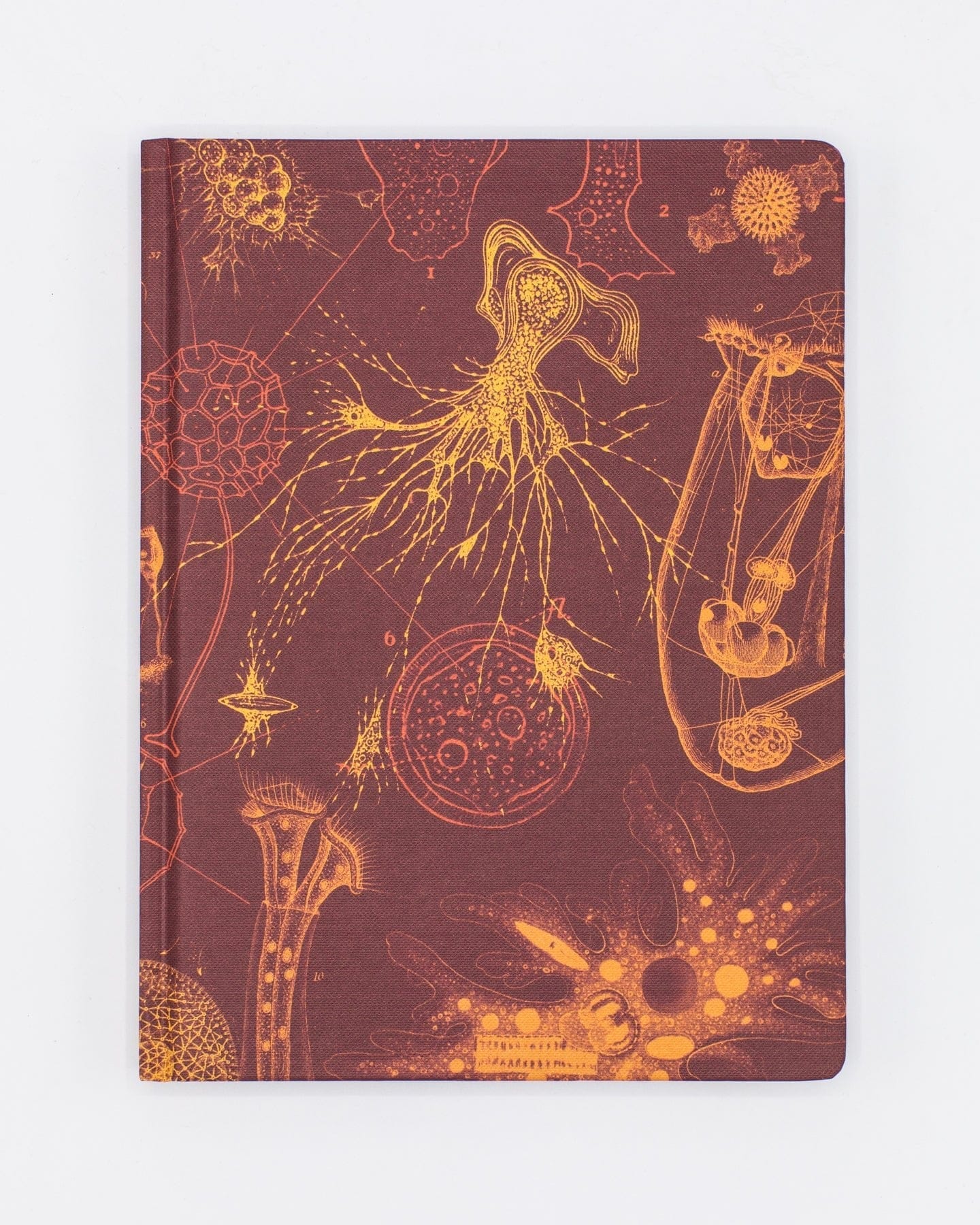 Microbiology Hardcover - Dot Grid Cognitive Surplus