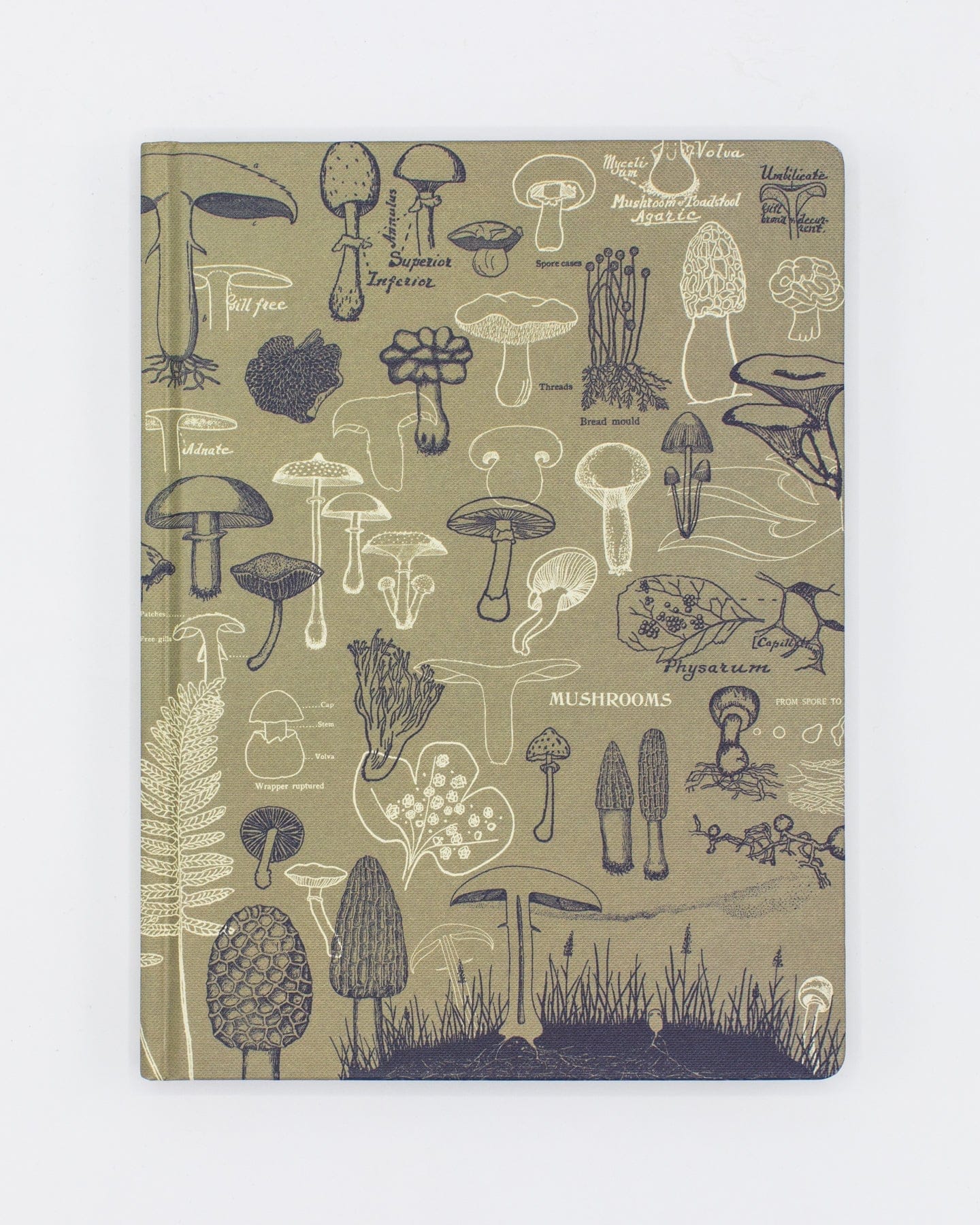 Mushrooms Hardcover - Dot Grid Cognitive Surplus