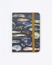 Mysteries of the Deep Observation Softcover Cognitive Surplus