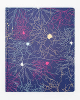 Seconds: Neural Circuit Lab Notebook