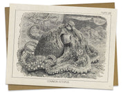 Octopus Specimen Card Cognitive Surplus