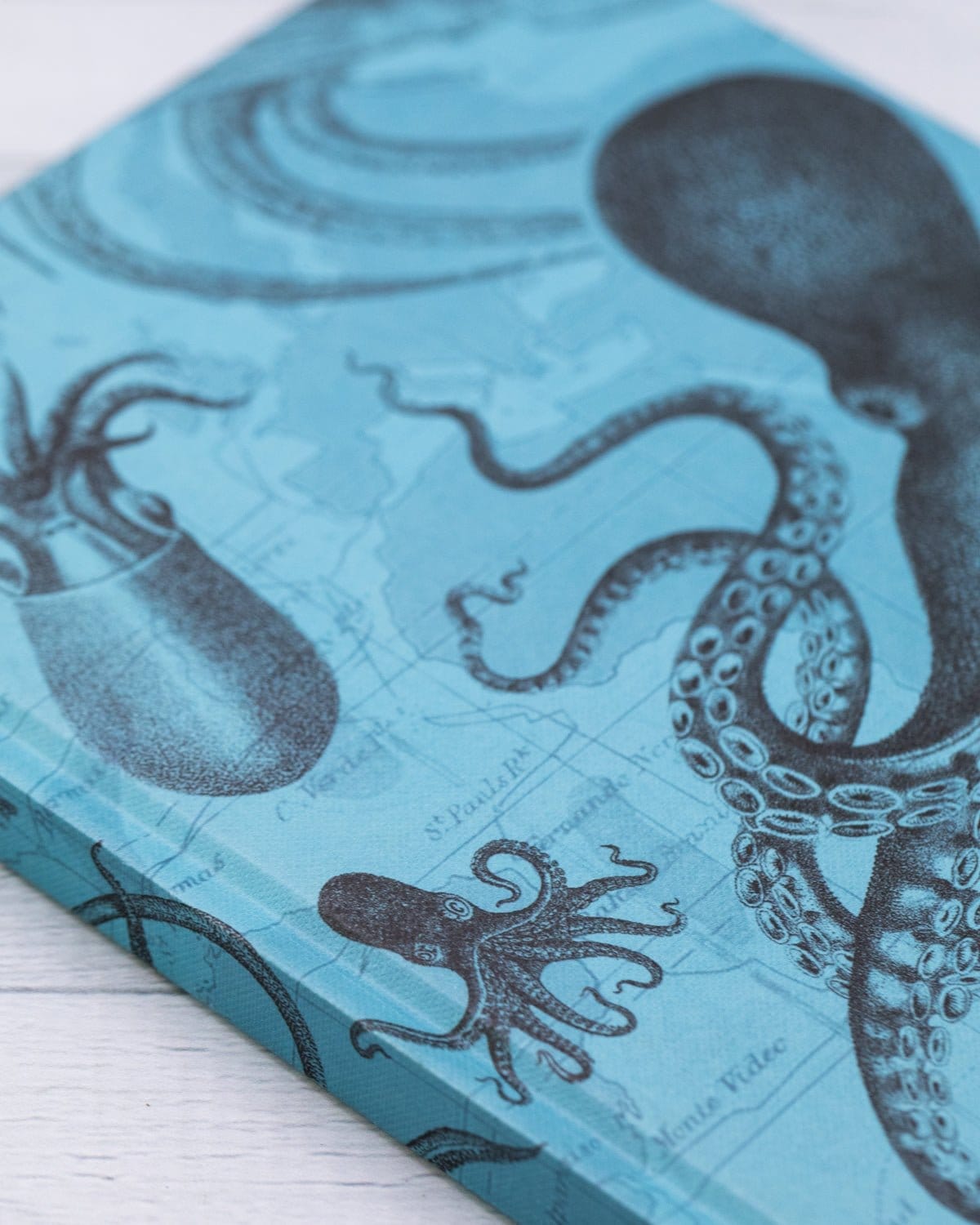 Octopus & Squid Hardcover - Dot Grid Cognitive Surplus