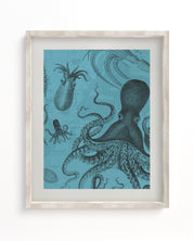 Octopus & Squid Museum Print Cognitive Surplus