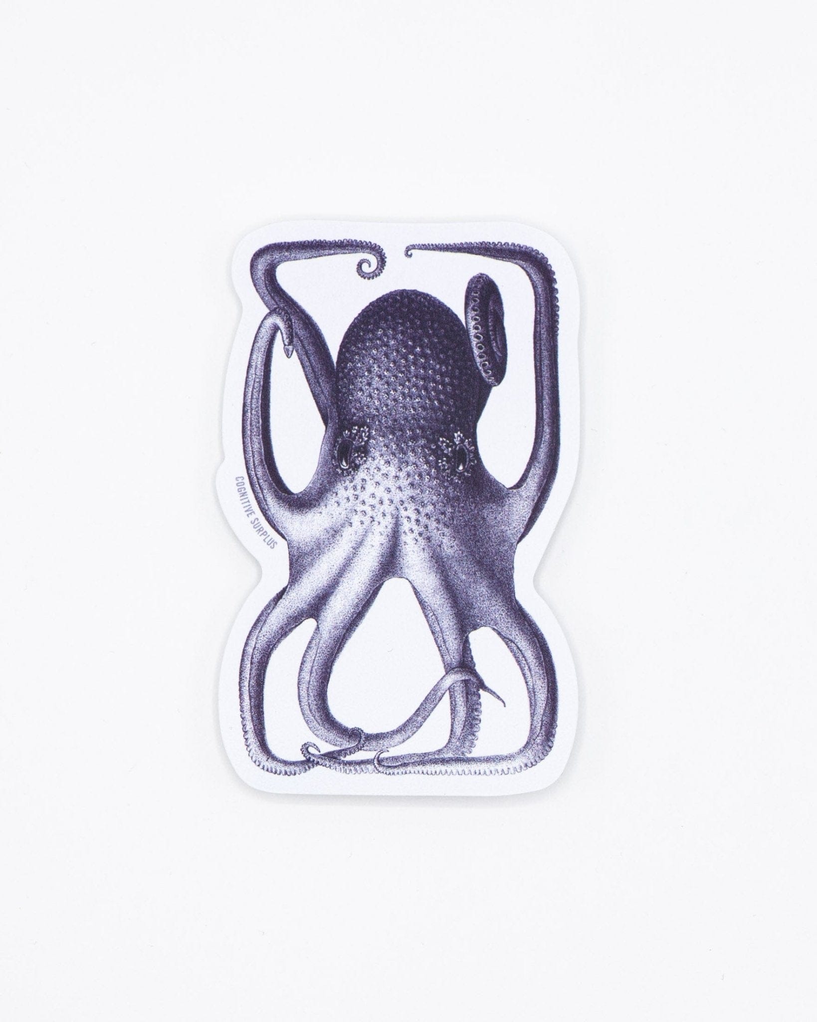 Octopus in a Box Sticker Cognitive Surplus