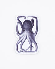 Octopus in a Box Sticker Cognitive Surplus