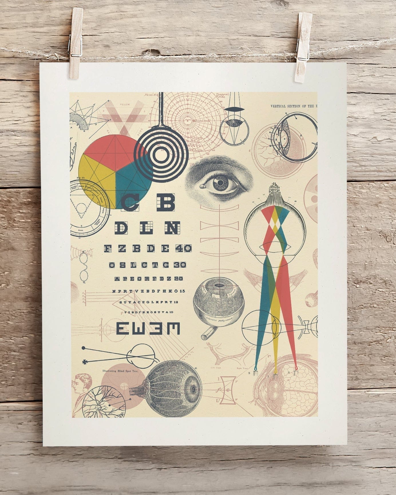 Optics & Sight Museum Print Cognitive Surplus