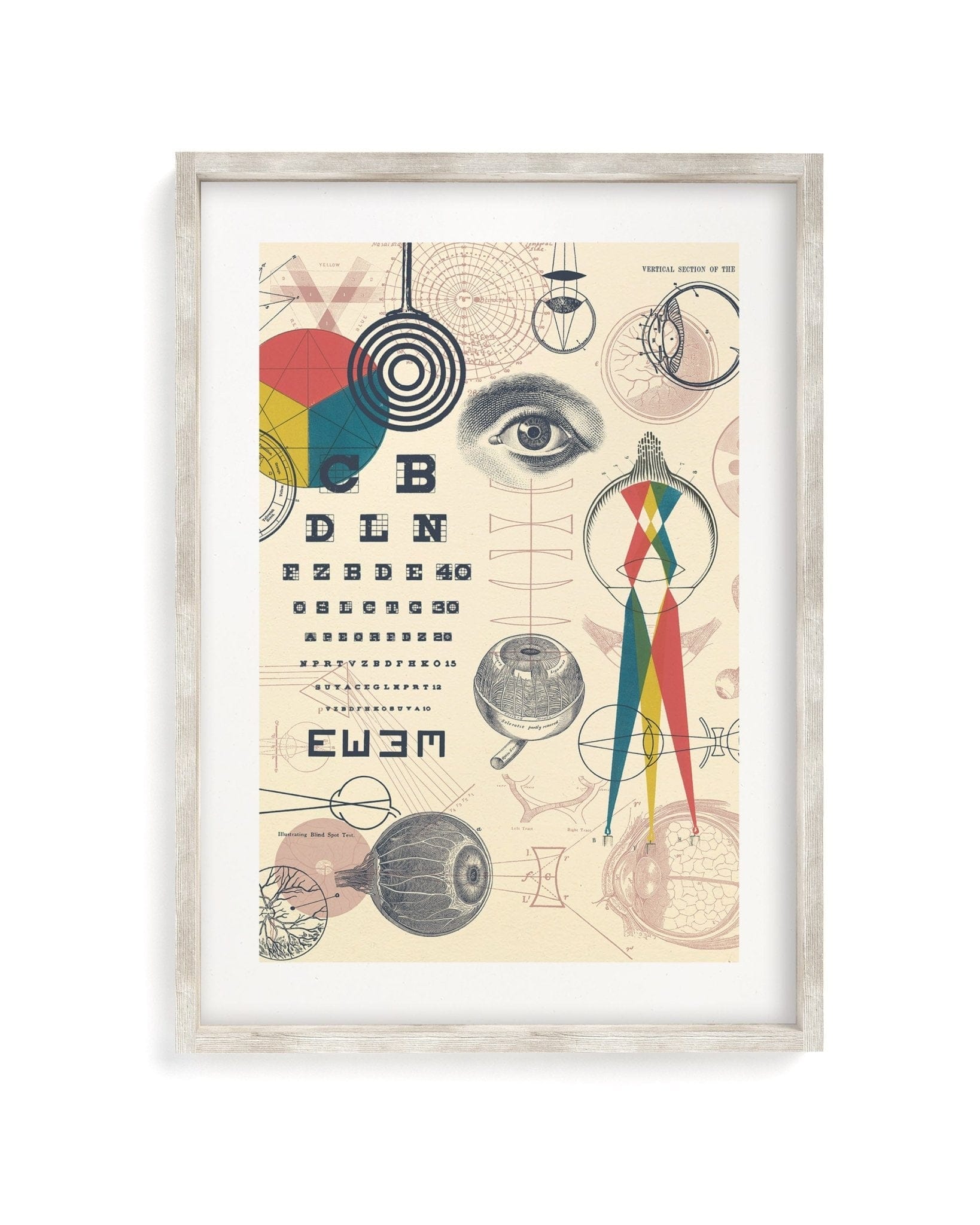 Optics & Sight Museum Print Cognitive Surplus