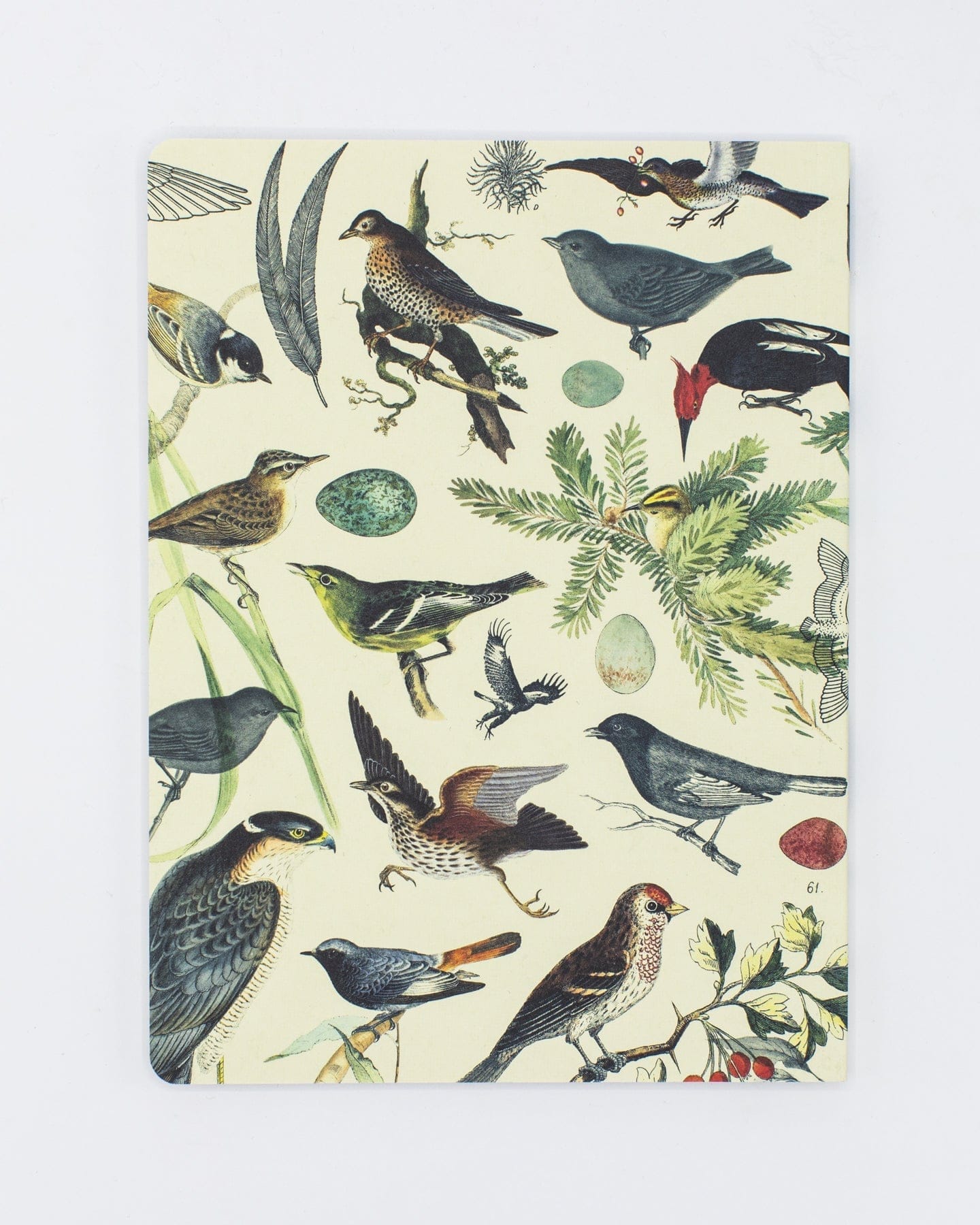 Ornithology: Birds Softcover - Dot Grid Cognitive Surplus