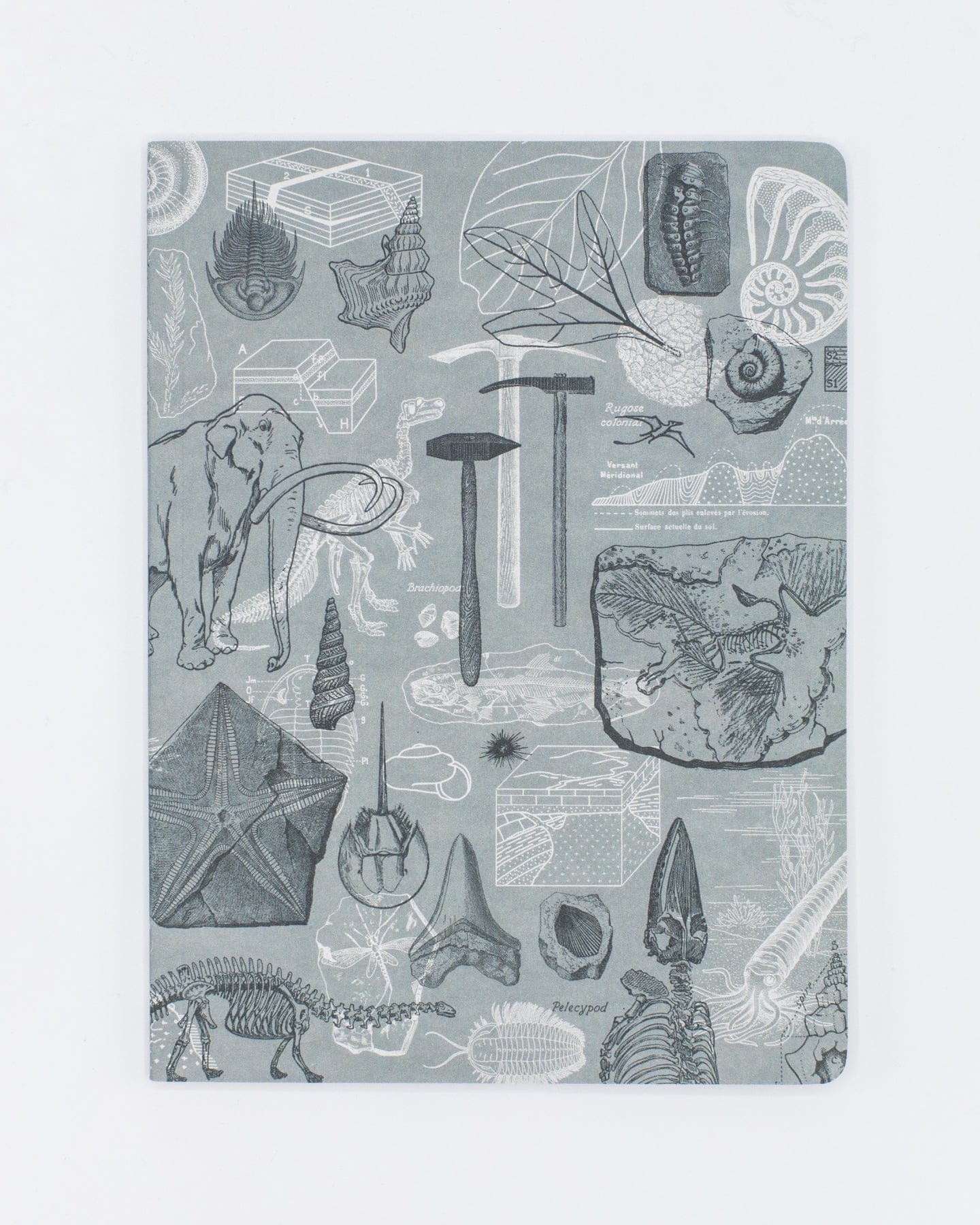 Paleontology Softcover - Dot Grid Cognitive Surplus
