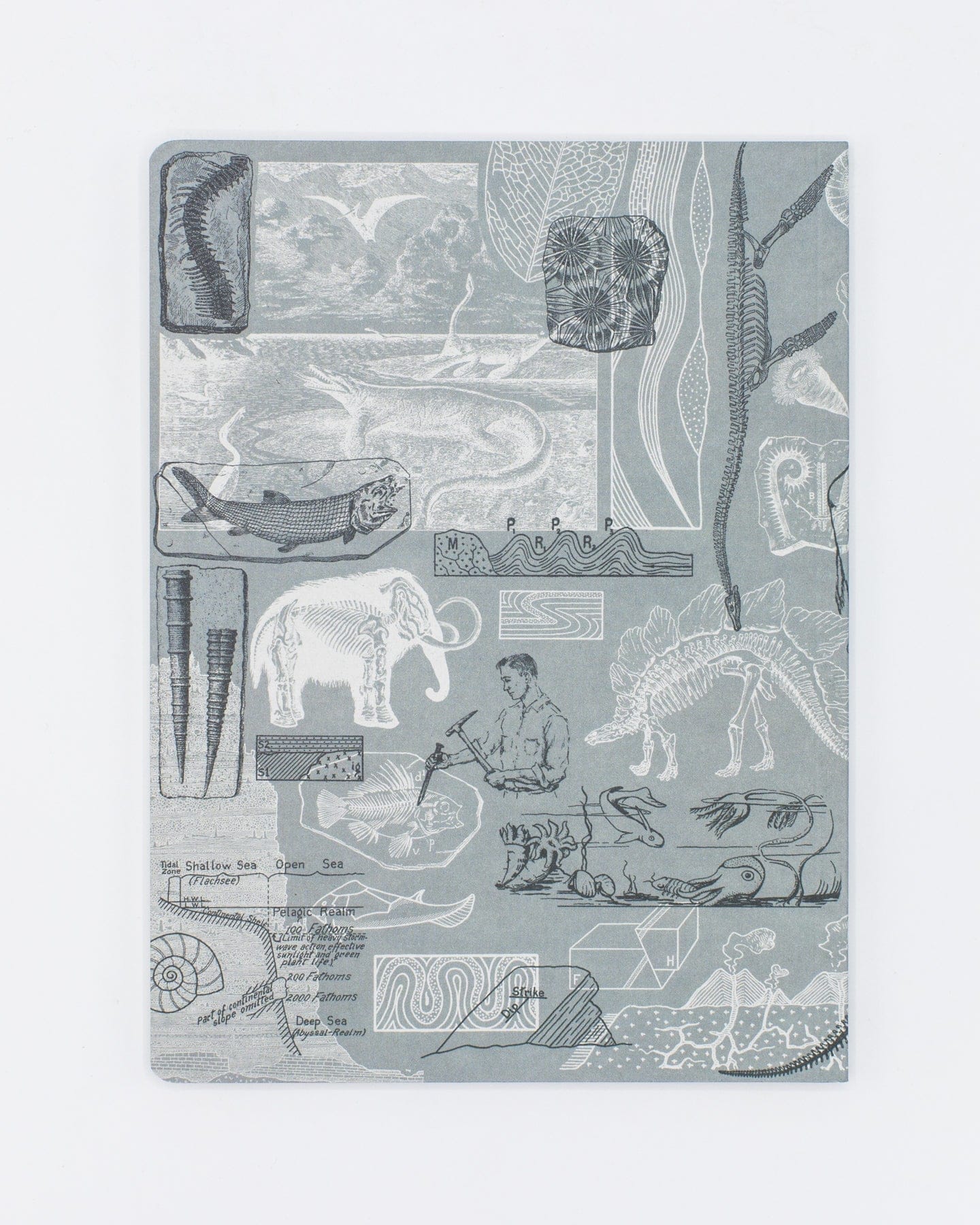 Paleontology Softcover - Dot Grid Cognitive Surplus