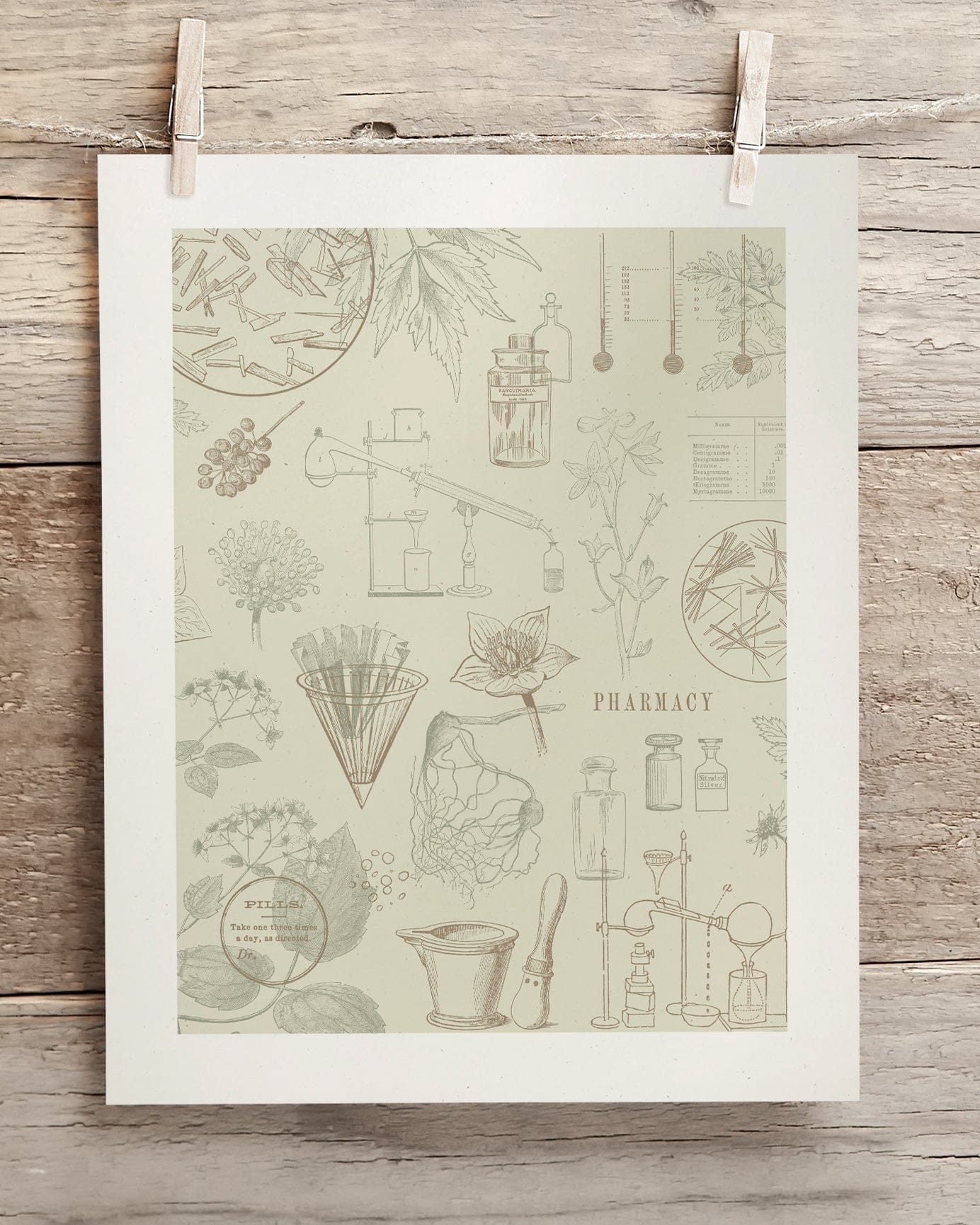 Pharmacy Museum Print Cognitive Surplus