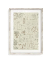 Pharmacy Museum Print Cognitive Surplus